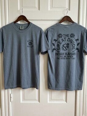 Noah Kahan Sunflower Comfort colors Tee